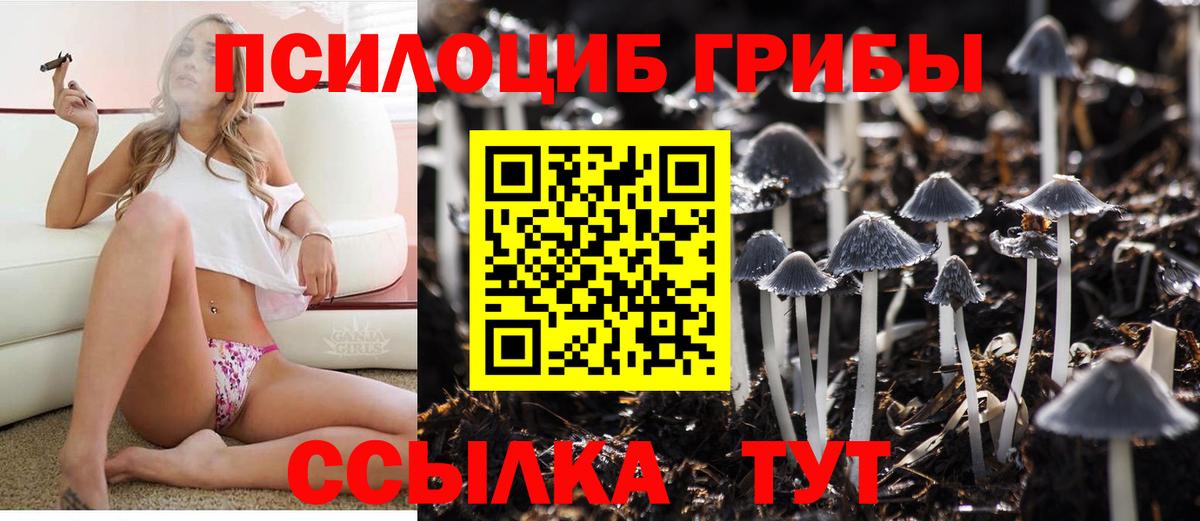 Галлюциногенные грибы MAGIC MUSHROOMS Таганрог