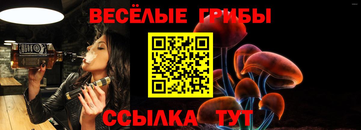 Псилоцибиновые грибы MAGIC MUSHROOMS  Вход с VPN  Таганрог 